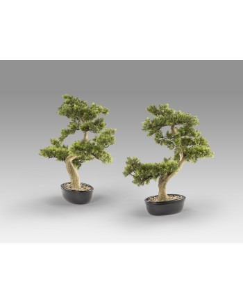 BANKAN - BONSAI 75CM